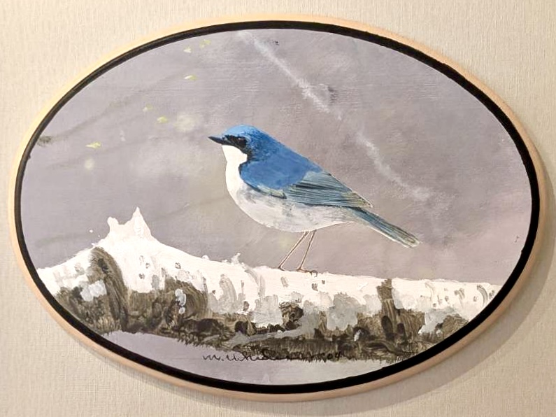 野鳥イラスト「コルリ」